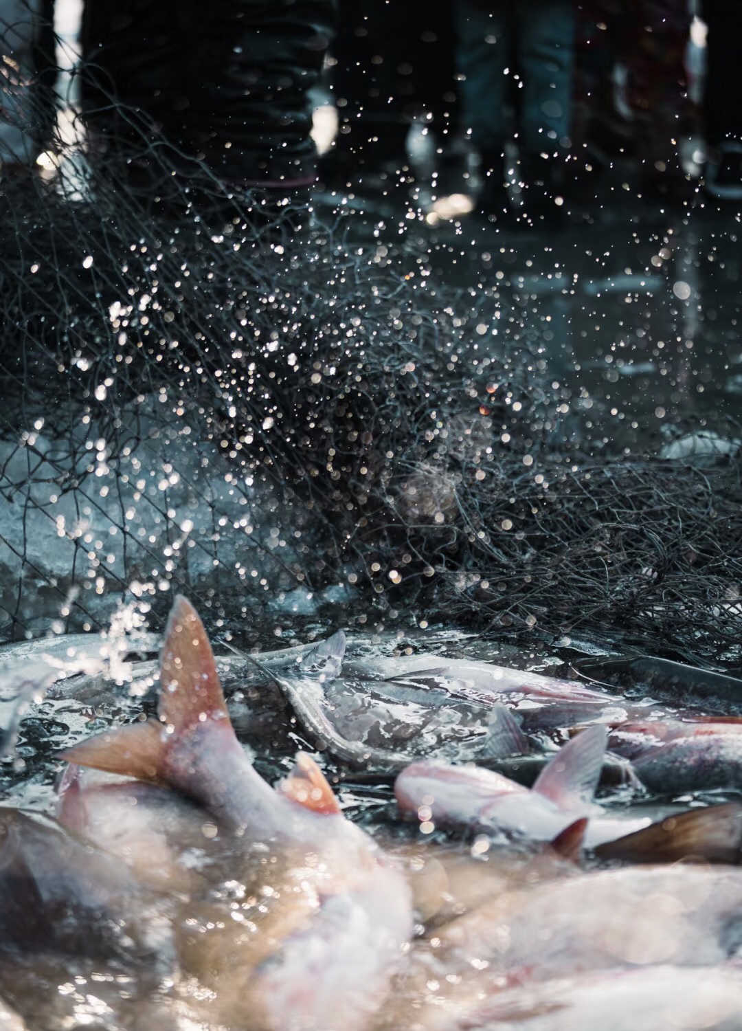 1762240725279221.jpg 微信图片_20250828104947.jpg